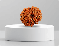 twelve-mukhi