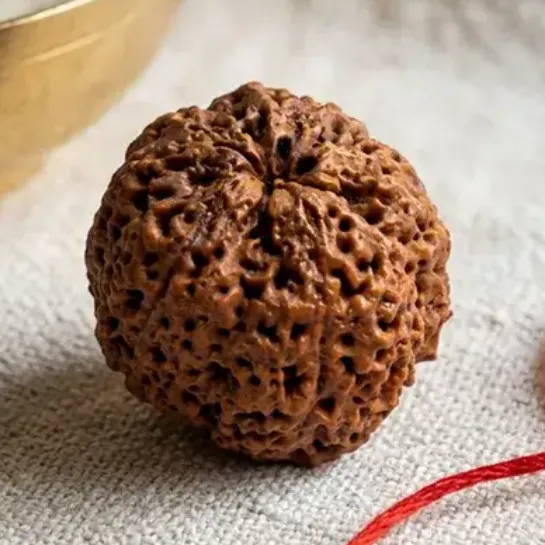 Rudraksha Bead